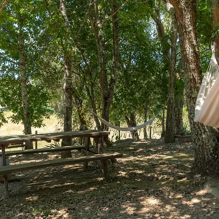 Atlantic Nest Poiares *