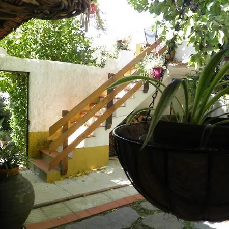 Atlantic Nest Poiares Feriehus Vila Nova de Poiares