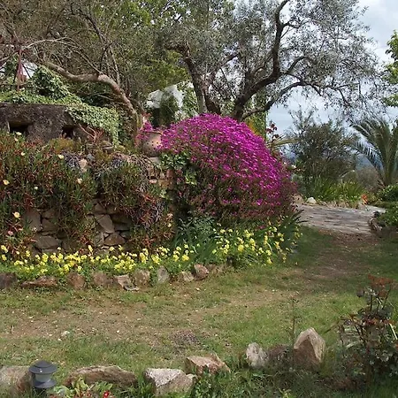 Semesterbostad Atlantic Nest Poiares *