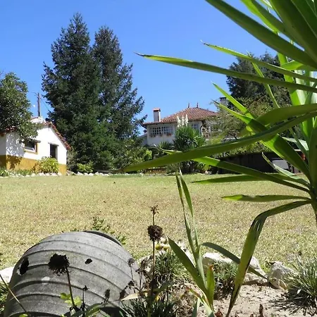 Semesterbostad Atlantic Nest Poiares Vila Nova de Poiares