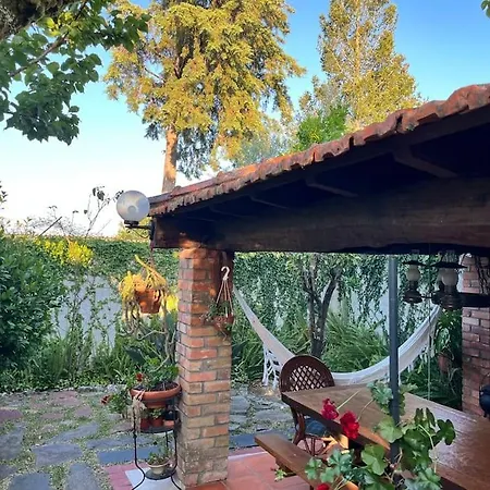 Atlantic Nest Poiares Semesterbostad Vila Nova de Poiares