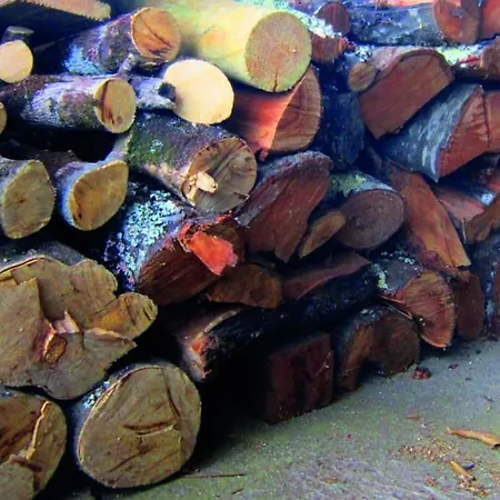 Atlantic Nest Poiares *