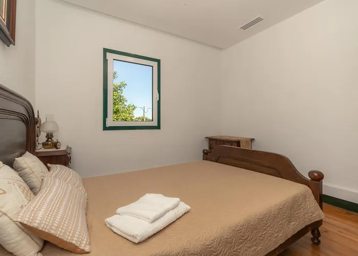 Atlantic Nest Poiares