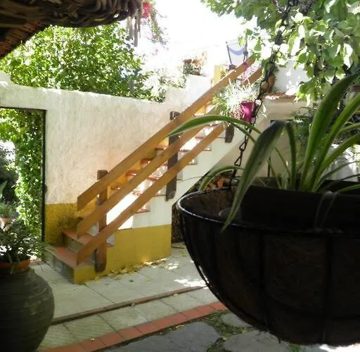 Atlantic Nest Poiares Holiday home Vila Nova de Poiares