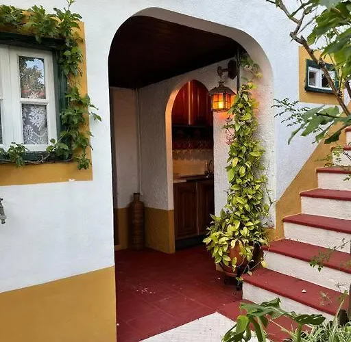 Atlantic Nest Poiares *